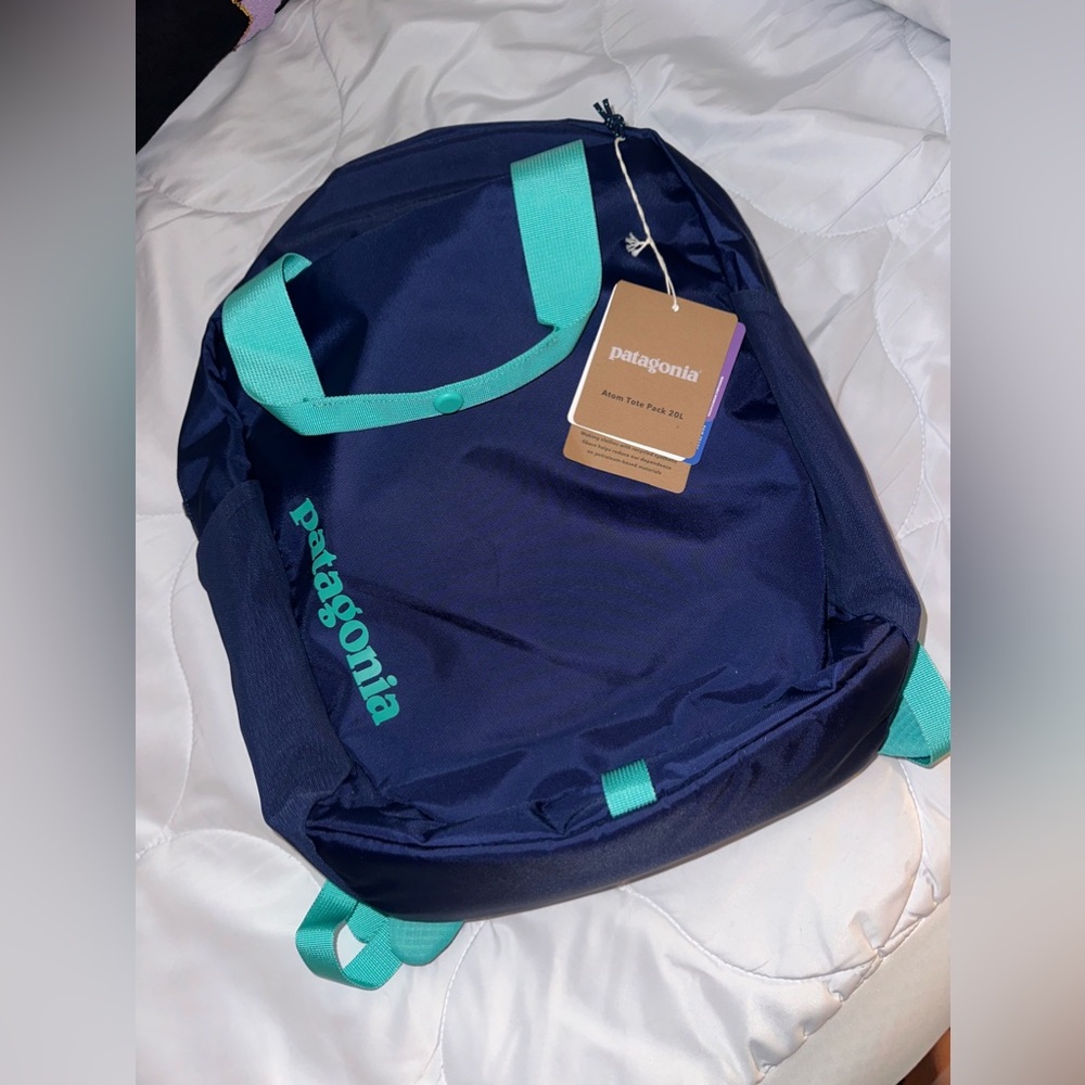 Patagonia 20L backpack NWT